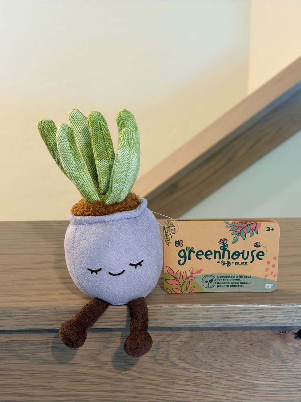 🌱 Greenhouse By Russ Lillian The Succulent 🪴 Mini 6” Plush Potted Plant BNWT